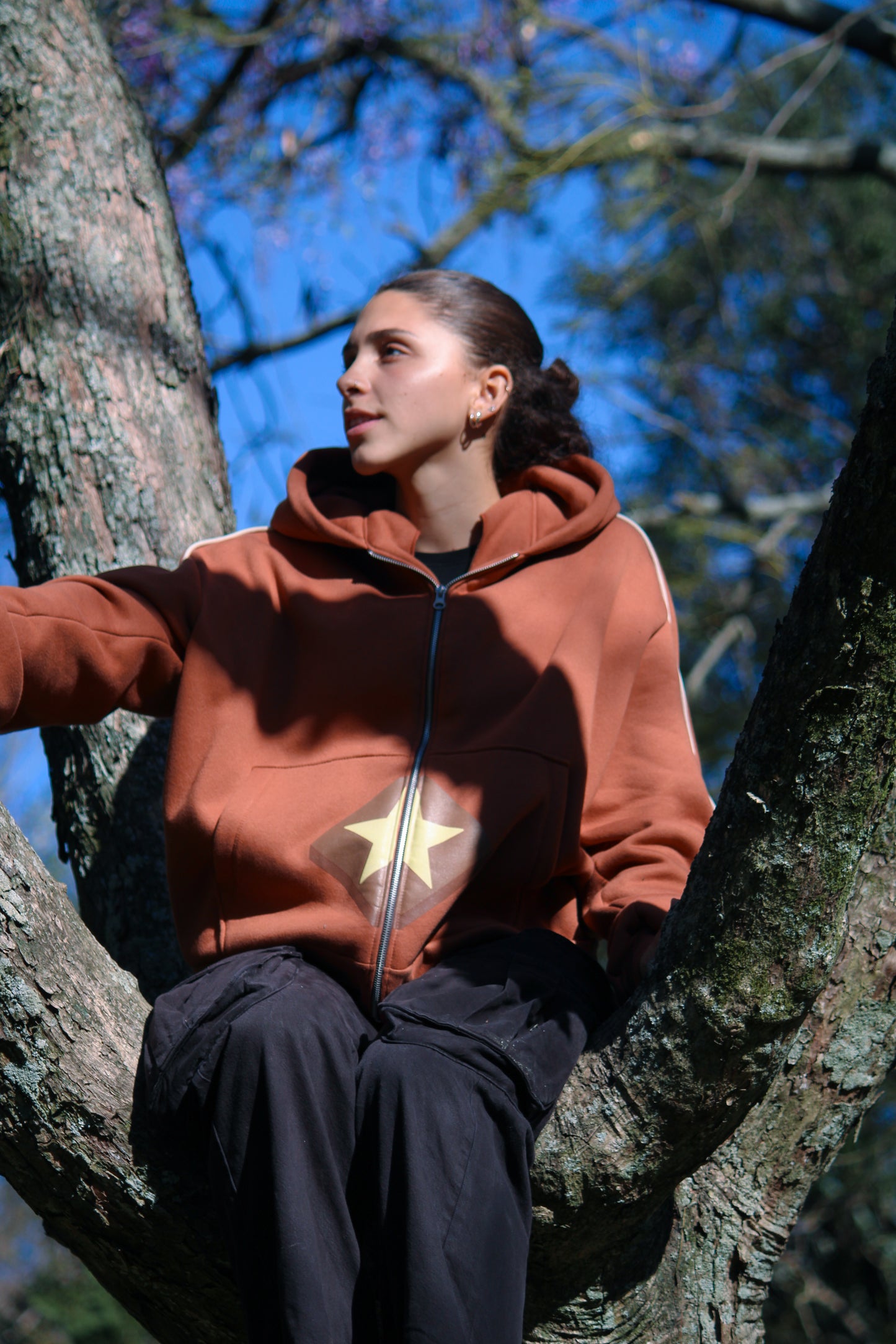 Zip Hoodie | Marron